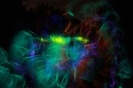 Lights in the dark_11