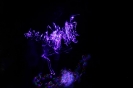 Lights in the dark_3